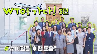 [통상 24]  [WTO를 가다 - 3편] WTO 내부 전격해부