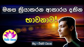 BE THE MASTER OF YOUR MIND - Part 64|දුකින් මිදුන ජීවිතය සුන්දරයි! | 🙏🌷Season 2 | Madu Vishwa Dhyana