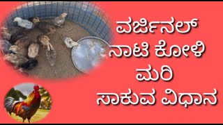 How to Grow Original Nati Koli - Shankar Nati Koli Dabha, Ramanagara