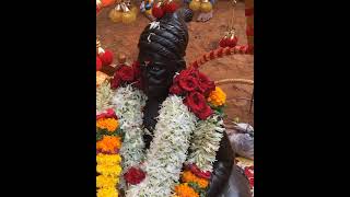 श्री छत्रपती शिवाजी महाराज! Shivrajyabhishek Din- Palkhi Sohla! #raigad #raigadfort #shortsvideo