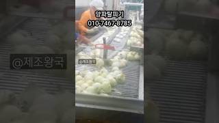 양파가공설비   양파껍질까주는 자동설비