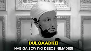 DULQAADKII NABIGA ﷺ! ⁴ᴷ┇Sh xusen cali jabuti #2millionview #islam#fyp  #how #sidee #tag