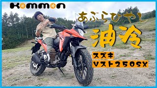 【スズキV-Strom250SX】油冷愛をもう少し語りたい ～BDSバイクセンサー・スピンオフ #Vストローム250 #Vstromsx #スズキ