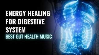 Improve Your Digestive Health | Energy Healing for Digestive System | Best Gut Health Music | 528 Hz