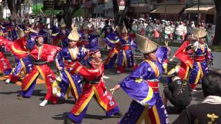 十人十彩　2016よさこい全国大会　追手筋北会場　４K　2016 8 12