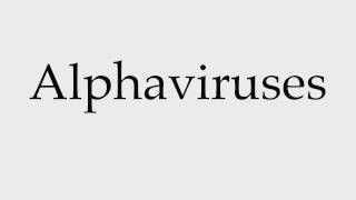 How to Pronounce Alphaviruses