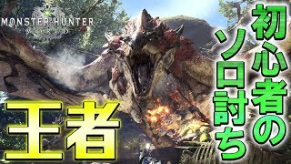 【MHW】ついに王者リオレウスに初心者が1人で挑んでみた！！【モンハンワールド】