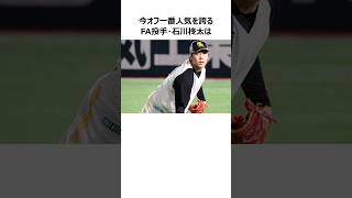 【一躍超人気選手へ】石川柊太のFA交渉に関する雑学【ソフトバンク・オリックス・巨人・ヤクルト・ロッテの争奪戦】