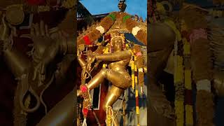 #ஆருத்ரா தரிசனம்🔥/Arudhra   Darisanam #shiva #shorts #நடராஜர்#kovil #natarajar #thamarai samayal 28