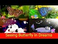 Seeing Butterfly In Dreams 🦋🦋 || #butterfly #lawofattraction #trending #viral #universe #youtube