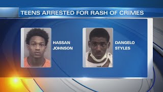 Two 19-year-olds arrested in Virginia Beach on over 45 charges