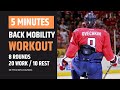 Spine Mobility and Strength Workout For Hockey Players | 5 Minutes Tabata | Training For Ice Hockey