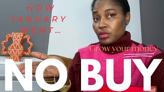 No buy year, low buy, how my no spend , low spend January 2025 went- save money and grow your money