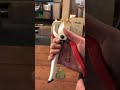 How to hold Okatsune secateurs