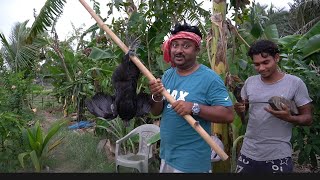 আজ প্রথমবার সেই ছোট্ট কুঁড়ে ঘরে কড়কনাথ মুরগির মাংস খেলাম!!!