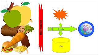 Welche Auswirkung hat Zucker auf unseren Körper?