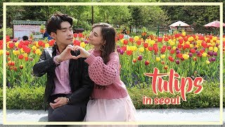 Dating in Korea: Spring Tulip Field Edition! •• 국제커플 브이로그~ 봄나들이 꽃놀이