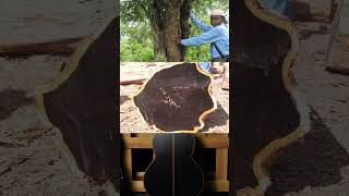 இதுதான் உலகத்துலயே Most expensive wood-ஆ?! #video #facts #tamil