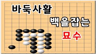 바둑사활 - 백을잡는 초급묘수 - 바둑묘수풀이