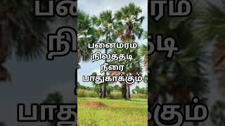 மரம் வளர்த்தால் இவ்வளவு நன்மை இருக்கா