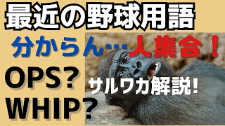 【最近の野球用語解説】OPS、WHIP、QS、WARってなんだよ！？