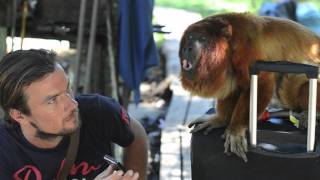 Pepe the Howler Monkey.mov