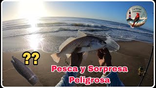 Mucha Corvina y sorpresa entre los médanos! - Pesca Faro Querandí