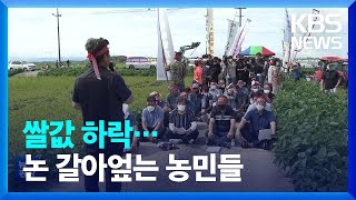 쌀값 하락에 논 갈아엎는 농민들 / KBS  2022.08.20.