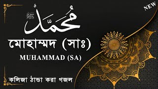 মোহাম্মদ (সাঃ) | Muhammad (sa) | Bangla Islamic Song | Bangla Gojol | বাংলা নতুন গজল | New Naat