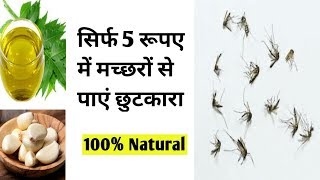 सिर्फ 2 मिनट में मच्छरों से छुटकारा पाएं ll Get rid of mosquitoes naturally