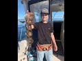 big lingcod at 12 mile reef 🎣💯🍴