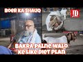 Boer ka Shauq aur Quality | Bakron ki Diet | JD Goat Farm