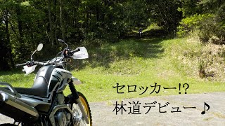 YAMAHA SEROW250 【セロッカー林道デビュー♪】