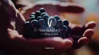 Ventisquero - 2021