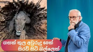 අවුරුදු 60ක් පුරා සිරවි සිටි මමිකරනය වු බලු සුරතලා 😯