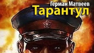 Герман Матвеев. Тарантул 7