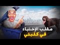 مقلب الإختباء في كلبتي الجديدة🐕 صدمتني ردة فعلها ميمكنش😱