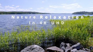 Relax With The Water At The Grounds Of Skokloster Castles Old Harbor, A 17th Century Swedish Castle