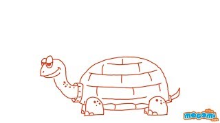 How To Draw a Tortoise - Learn Step By Step Drawing for Kids | Educational Videos by Mocomi