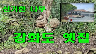 강화도 옛집 매매! 세상에 하나밖에 없는 강화도 시골집 매매!