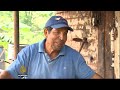 venezuela’s farmers hit hard by harsh drought.