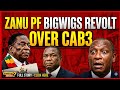 Internal Revolt in Zanu PF Over CAB3 | Tensions Rise Before Parliament Sitting