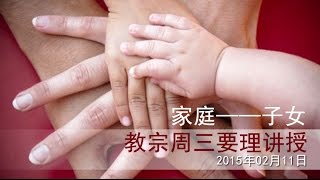 ［家庭——子女］：教宗方濟各週三要理講授【中文字幕與配音】2015.02.11