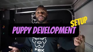 Puppy Development Setup