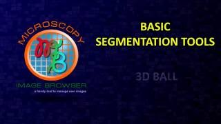 MIB in brief: Manual segmentation tools