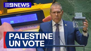 Australian joins vote support for Palestine as UN member | 9 News Australia