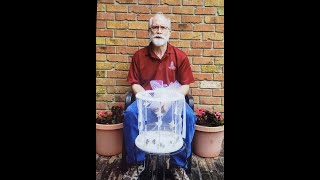 2020 Easter Butterfly Release