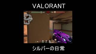 ショーティー弱体化賛成派になった瞬間　#valorant #shorts