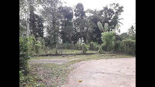 Land for sale in Horana