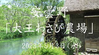 安曇野「大王わさび農場」ー 2023年5月3日(水)